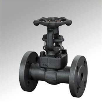 Forged Steel Flange Cryogenic Valve (DTV-Z007)