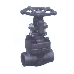 Forged Gate Valve