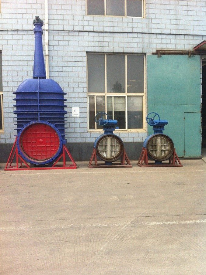 Big Gate Valve