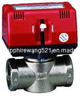 CE 2-Way Dn15 Brass Motorized Valve (CKF7315T-05)