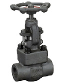 Forged Steel Gate Valve (BFV-GA1002)