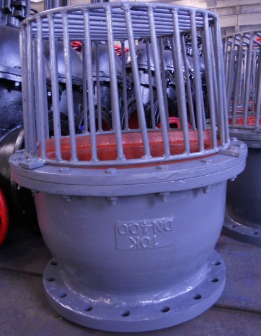 Bottorm Valve/ Foot Valve