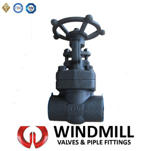 Forged Gate Valve 1/2