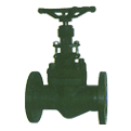 Flanged End Globe Valve (LIFC5009)