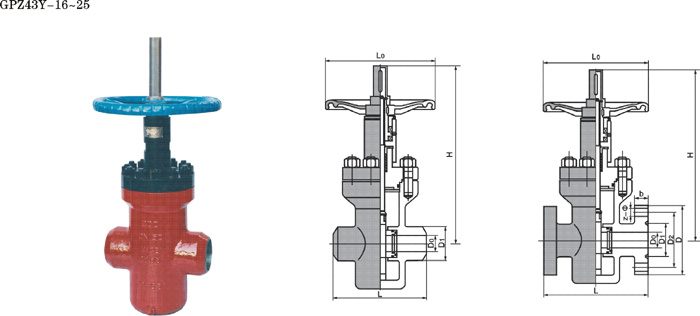 High Pressure Flat Gate Valve (213)
