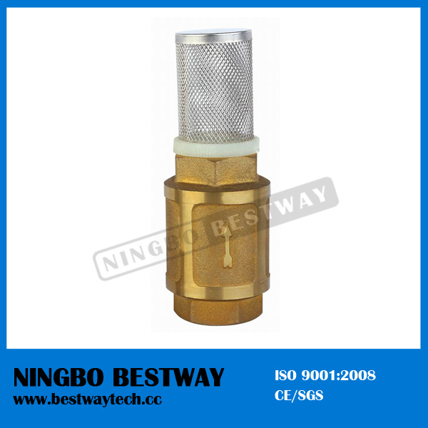 Economic Foot Valve with Strainer Price (BW-C10)