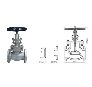 Flange Cast Iron Globe Valve J41t/H