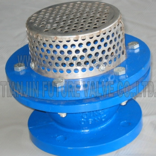 Flanged Bottom Valve Foot Valve Pn10 Dn80 Manufacturer