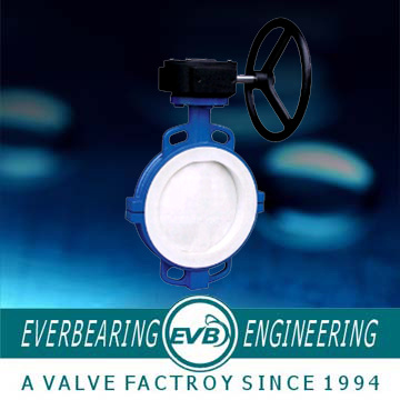 Butterfly Valve (BTV-S)