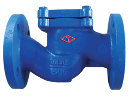 DIN Cast Iron Lift Check Valve H41H-16