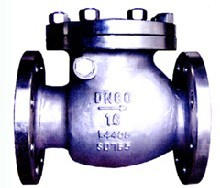 DIN Swing Check Valve