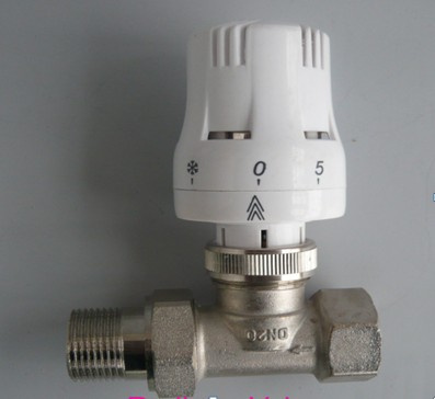 Radiator Valves (219)