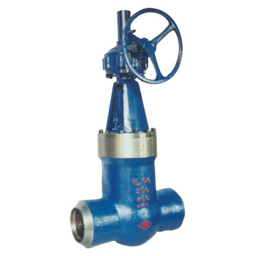 Pressure Seal Gate Valve (007)