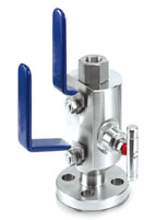 Double Block Bleed Valve, Size: 1/2