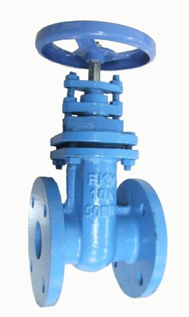 Cast Steel Gate Valve JIS