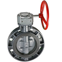 PVC Worm Gear Butterfly Valve