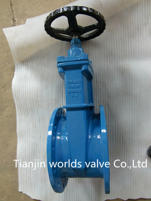 Worm Gear Sluice Valve