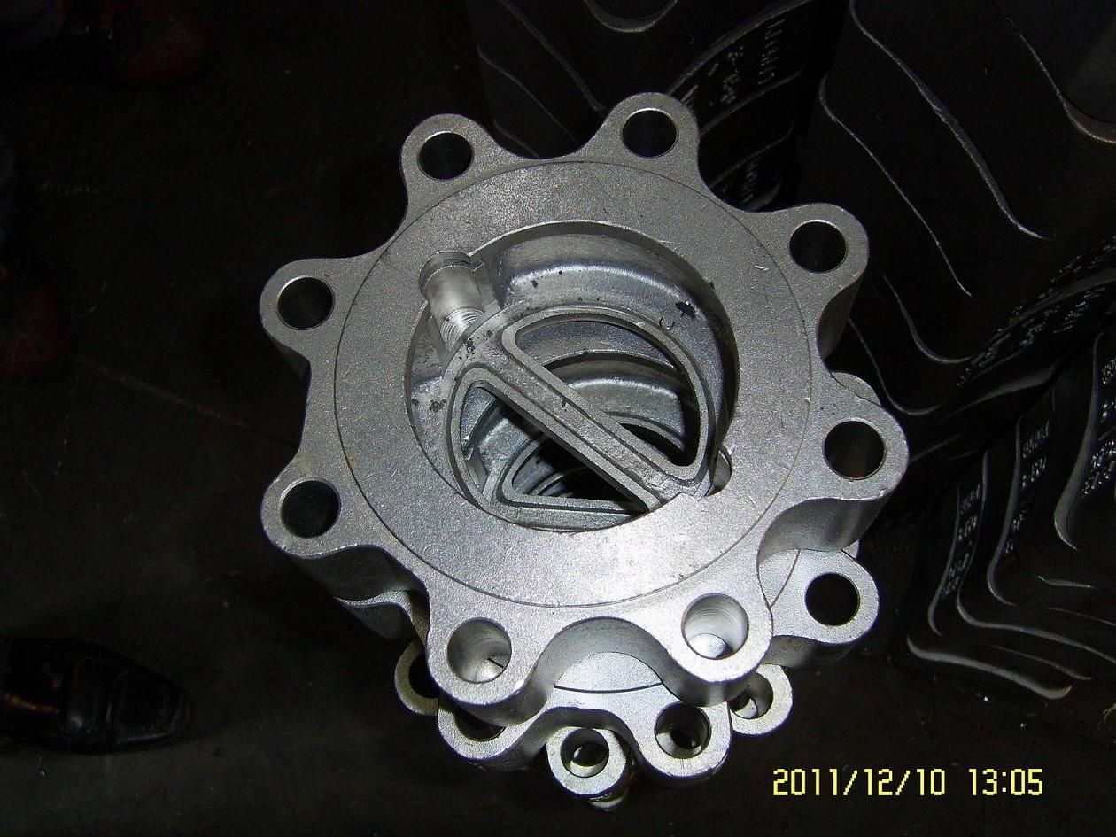 Duo Check Valve