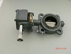 Butterfly Valve (3036)
