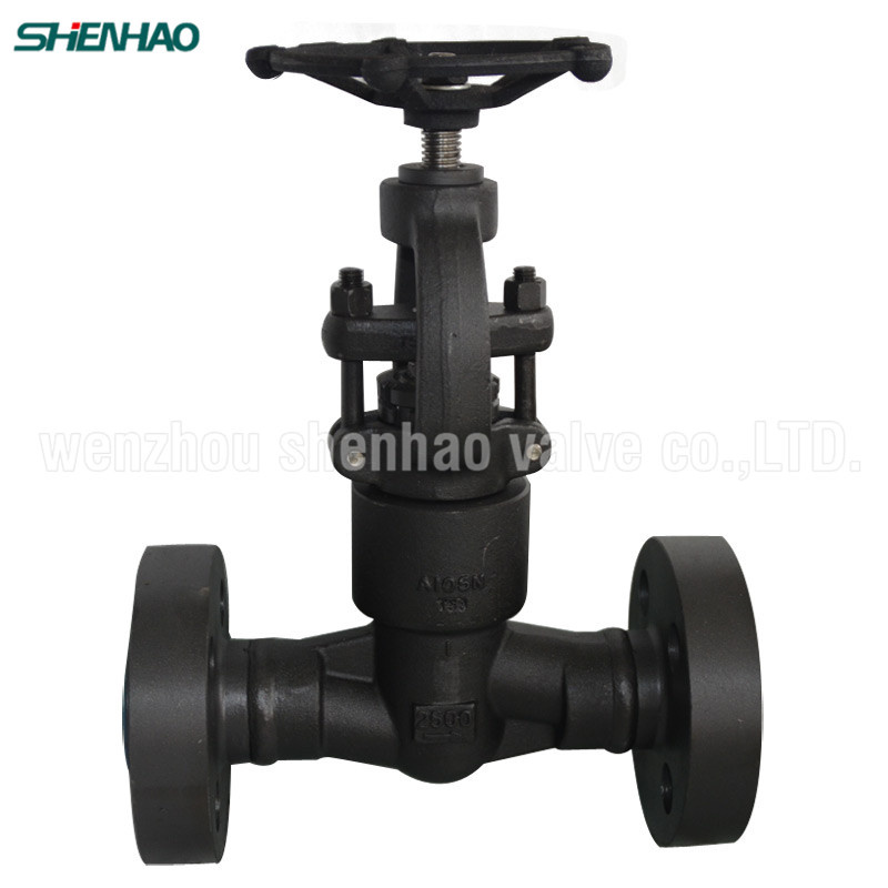 API602 Forged Steel Handwheel Operated Gate Valve