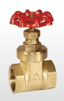 (A) 40 Years Valves Factory Brass Valve