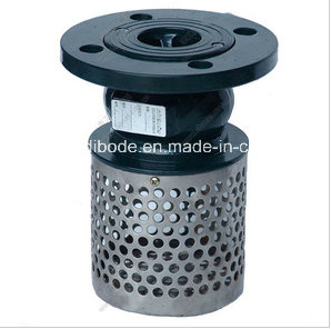 Cast Iron Flange End Foot Valve