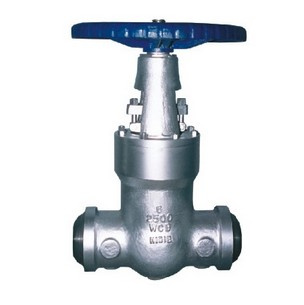 Class 2500 Stainless Steel Gate Valve
