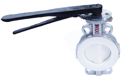 PTFE Lined Butterfly Valve (D71F)