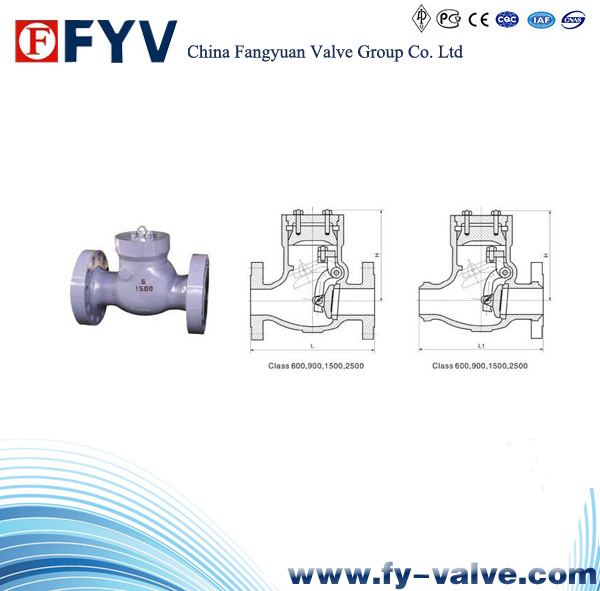 Class 600~2500 Pressure Sealing Swing Check Valve