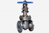 ANSI Cast Steel Gate Valves