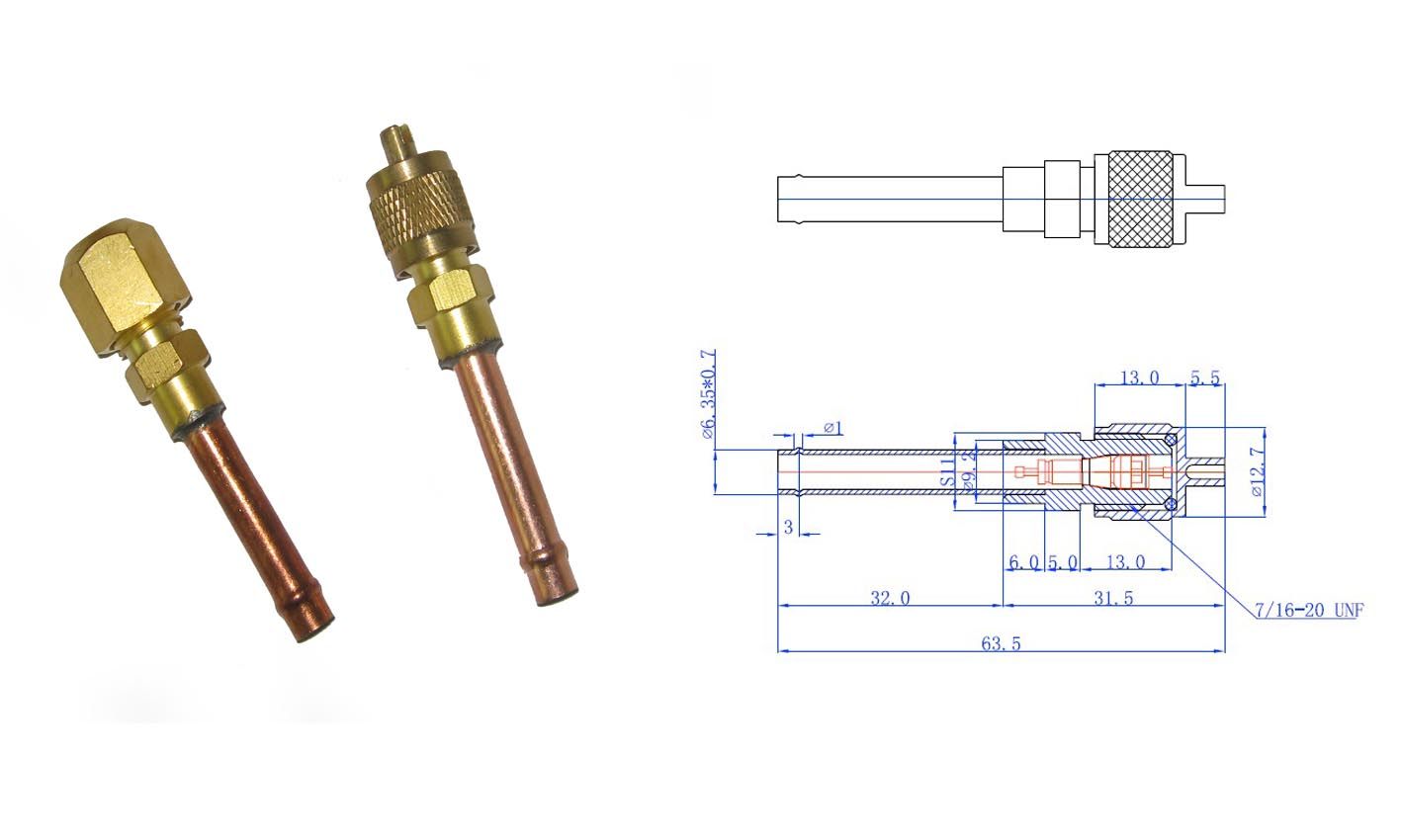 Access Valve