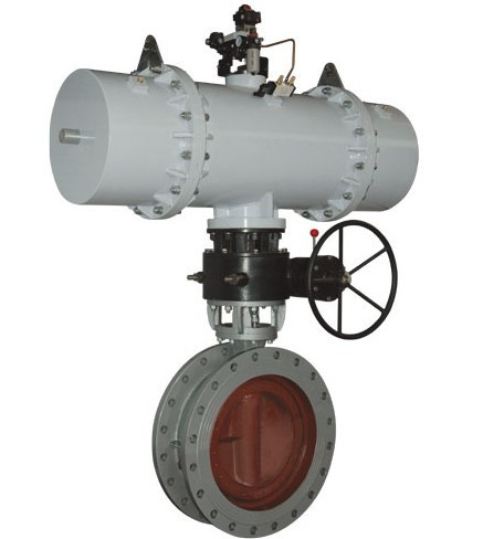 High Performance Butterfly Valve