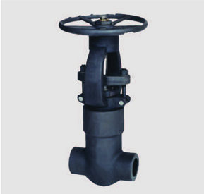 Low-Temperature Globe Valve