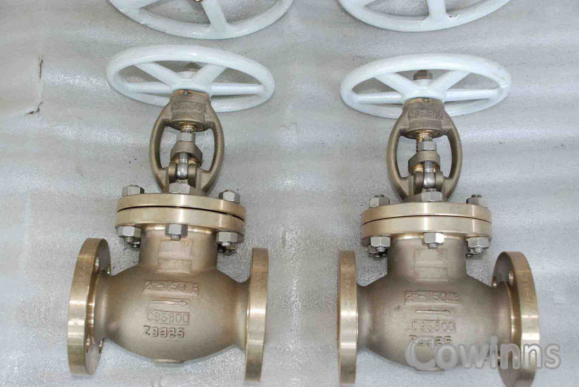 C95800 Globe Valve