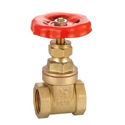 Brass Gate Valve Pn16