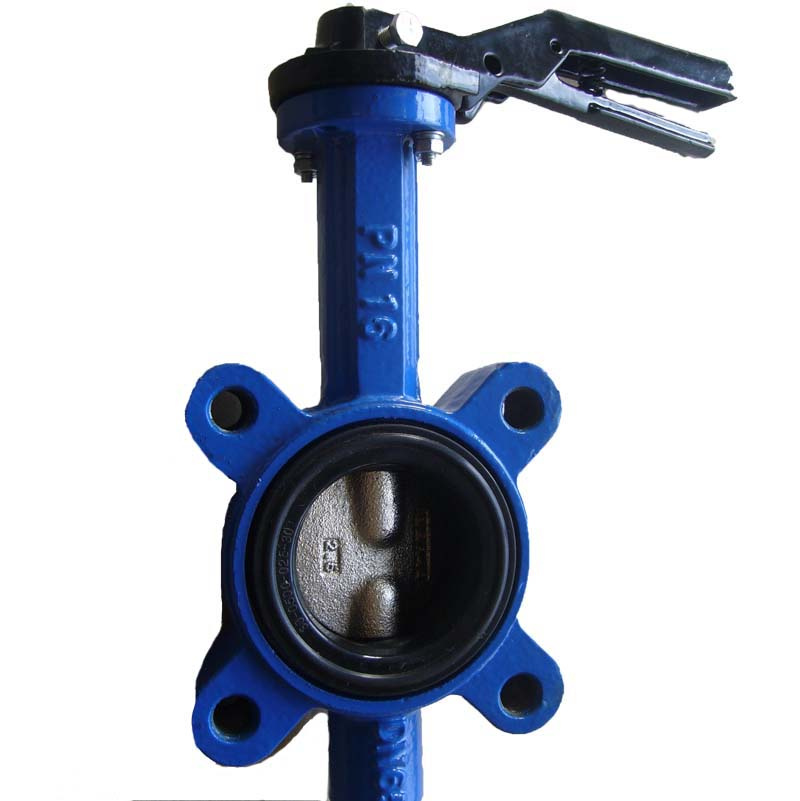 Cast Iron Lug Butterfly Valve Manufacturer