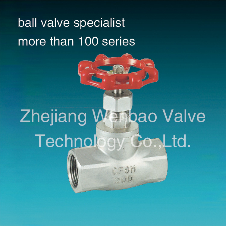 Stainless Steel Bsp Thread Globe Valve