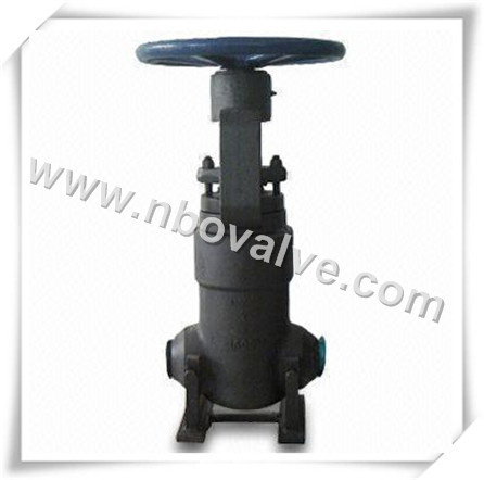 Socket Weld Forged Steel Gate Valve (S. W)