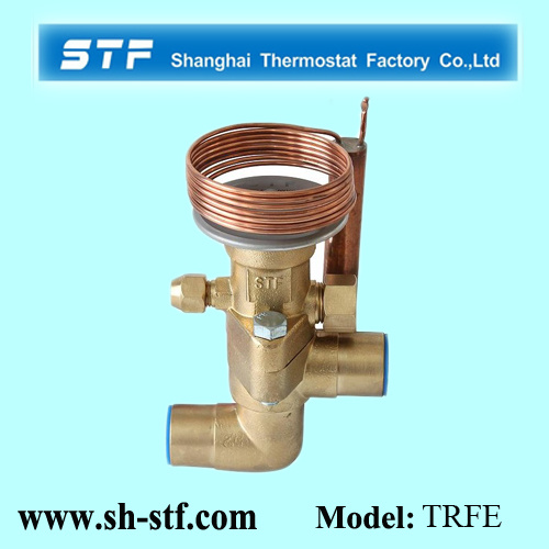 Take Apart Expansion Valve for Refrigerator