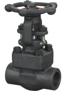 Forged Steel Threaded End Globe Valve