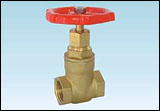 Brass Valve (DX-GV06-14)