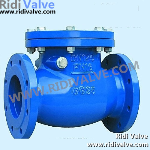 DIN Cast Iron Check Valve (GG25)