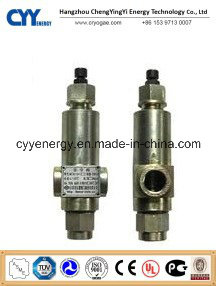 Cryogenic O2 Safety Valve