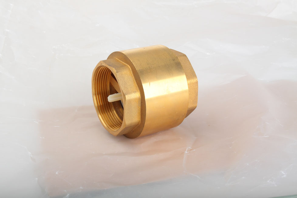 Brass Check Valve