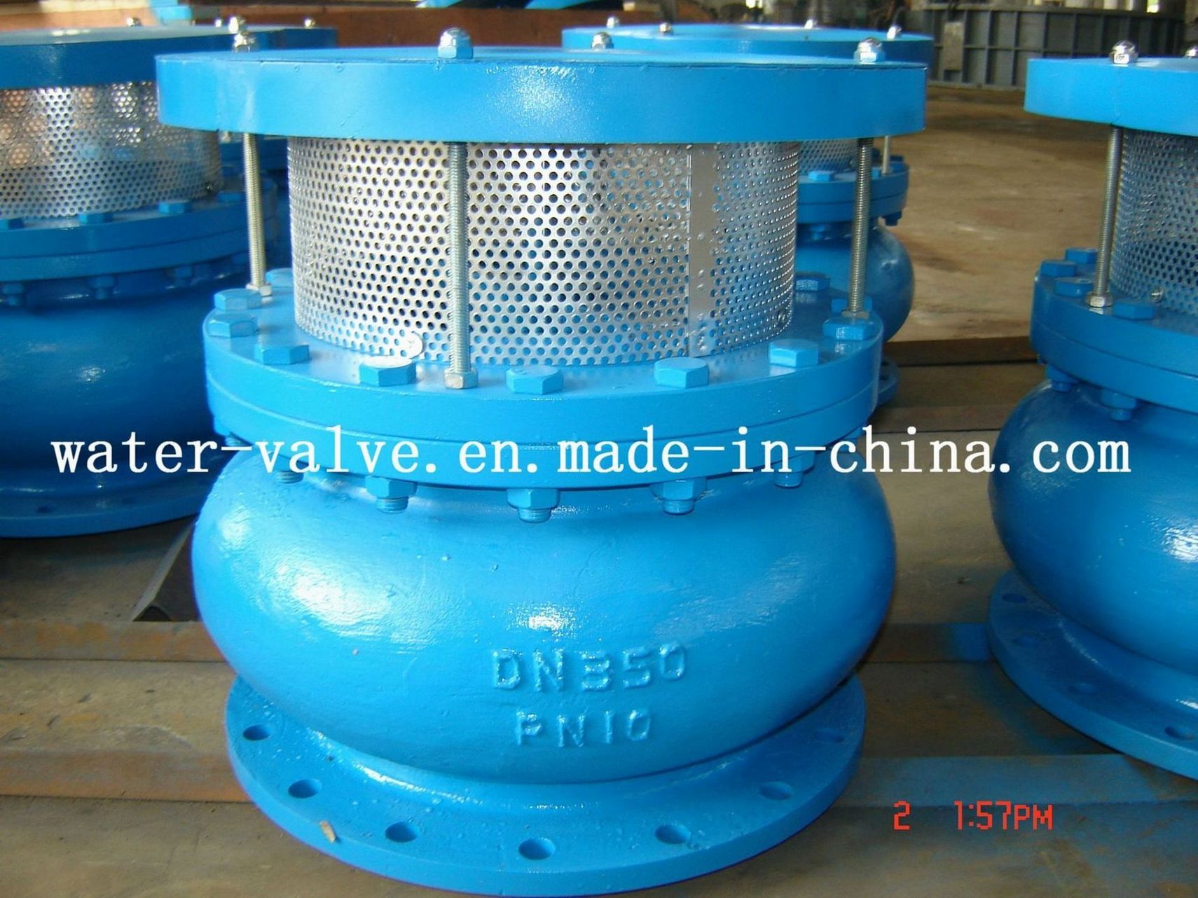 Cast Iron Foot Valve (H42X)
