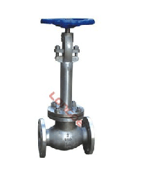 Cast Steel Cryogenic Globe Valve