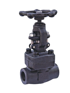 Forged Steel Globe Valve