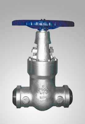 Class 900 Globe Valve