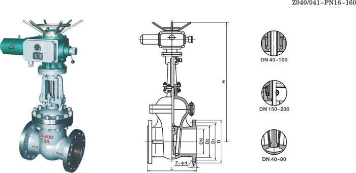 Electric Wedge Gate Valve (214)