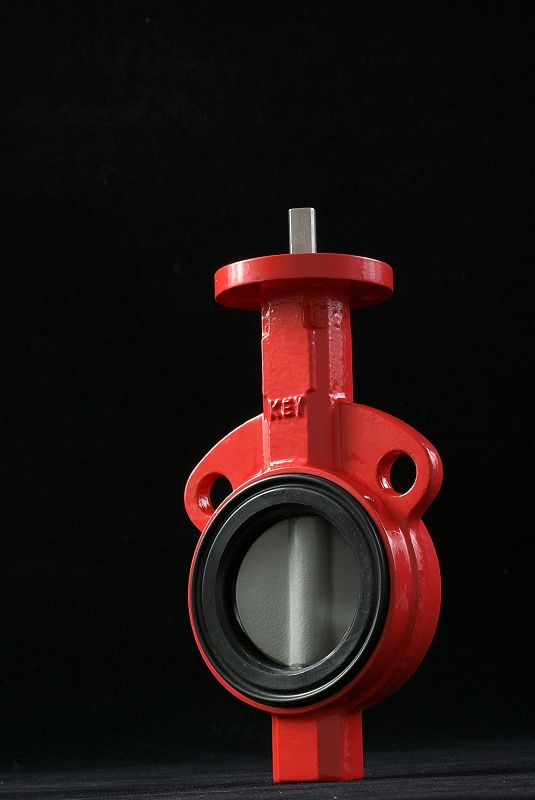 Wafer Butterfly Valve (D71X-10/16)